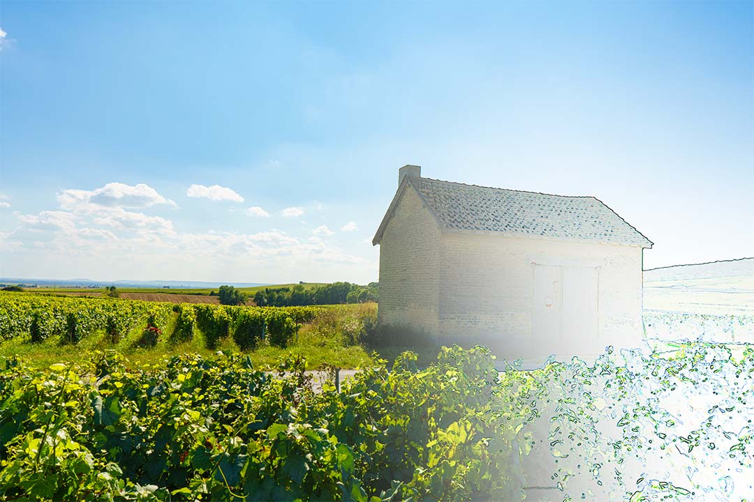 De champagnestreek in Frankrijk kenmerkt zich logischerwijs door de vele wijnranken. Het gebied is zo uitgestrekt en zo rustig dat je je vaak alleen op de wereld waant. Met af en toe een schuur om het plaatje compleet te maken. Uit de collectie fotoschets.