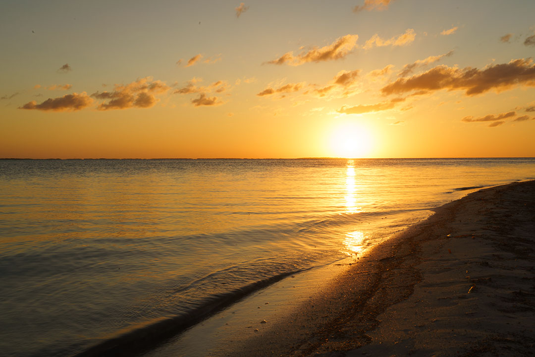 De zon gaat natuurlijk in het westen onder. Op het tropische, prachtige en unieke eiland Holbox in Mexico loont het de moeite om naar het westpunt van dit eiland te gaan. Eigenlijk heb je daar alleen maar strand en zee, verder is het rustig en verlaten. Heerlijk dus voor een zonsondergang dus.